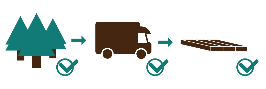 Die Illustration veranschaulicht, dass jeder Schritt, vom Wald, über den Transport, bis hin zum fertigen Produkt zertifiziert wird.
